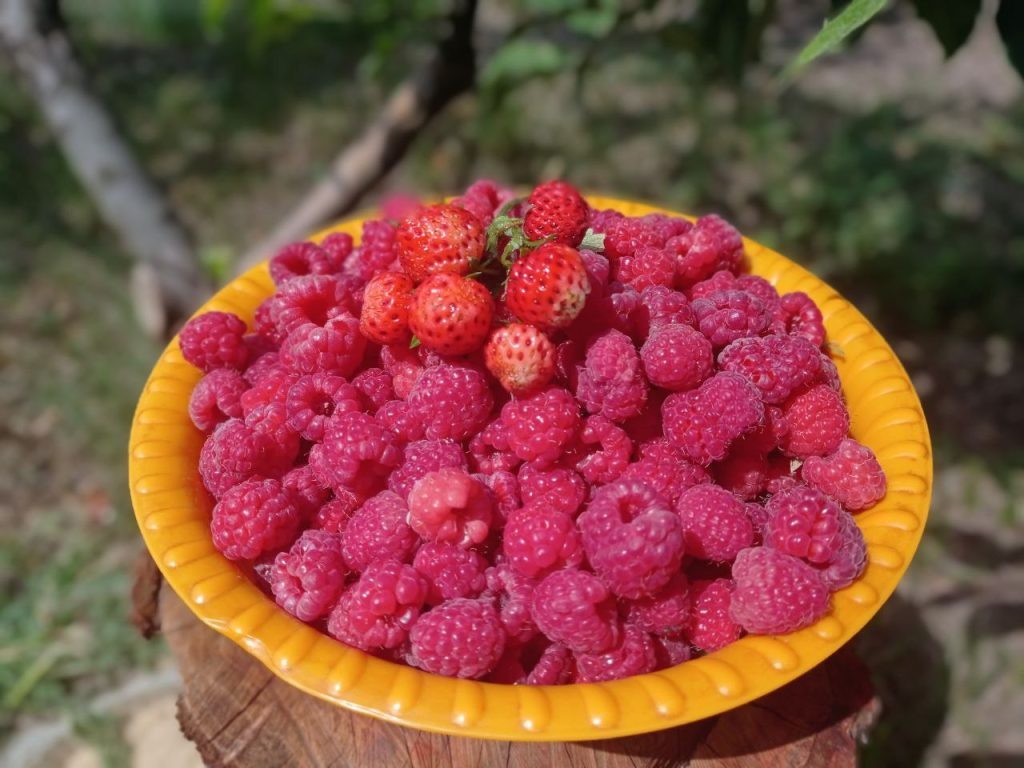   Фото: Л. Казмерова. Галина Ященко