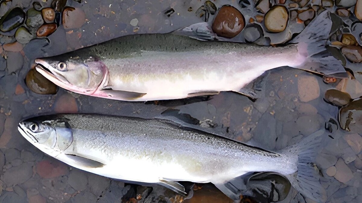     Источник: unsplash.com