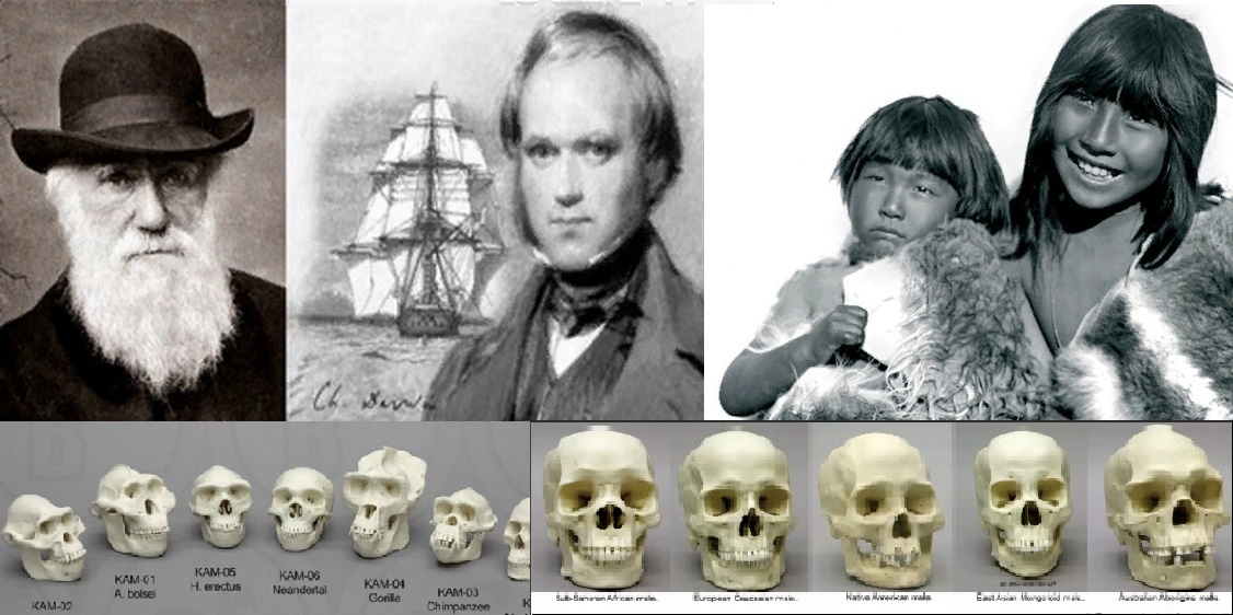 ЧЕЛОВЕК - ЕДИНЫЙ ВИД, и его РАСЫ ОЧЕНЬ ПОХОЖИ. Вверху: слева Чарльз Дарвин, он же в молодости и бриг "Бигль", справа индейцы Огненной Земли. Внизу: слева - черепа представителей разных видов рода Человек: они очень разные и сильно отличаются от похожих друг на друга черепов людей разных рас нашего вида, Homo sapiens (фото справа). (материал из открытых источников)
