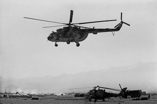 Фотография из открытых источников в сети Интернет. 