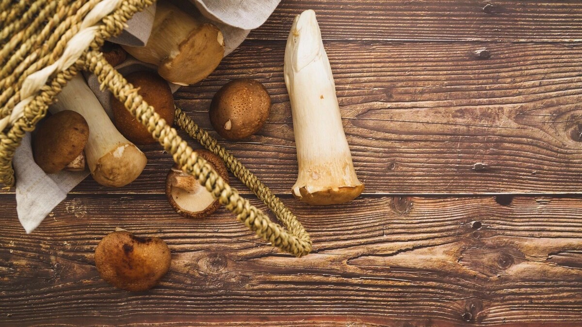     Источник: freepik.com