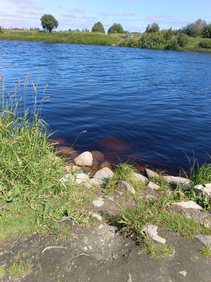 фото автора: по дороге на дачу, еду выполнять продовольственную программу