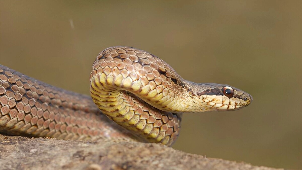     Источник: freepik.com