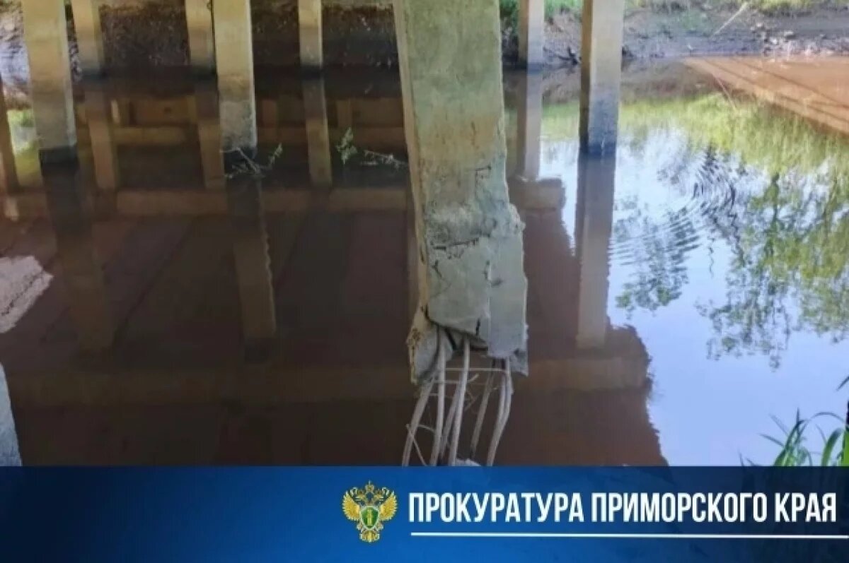    Начата проверка по факту разрушения моста через реку Малиновку в Приморье