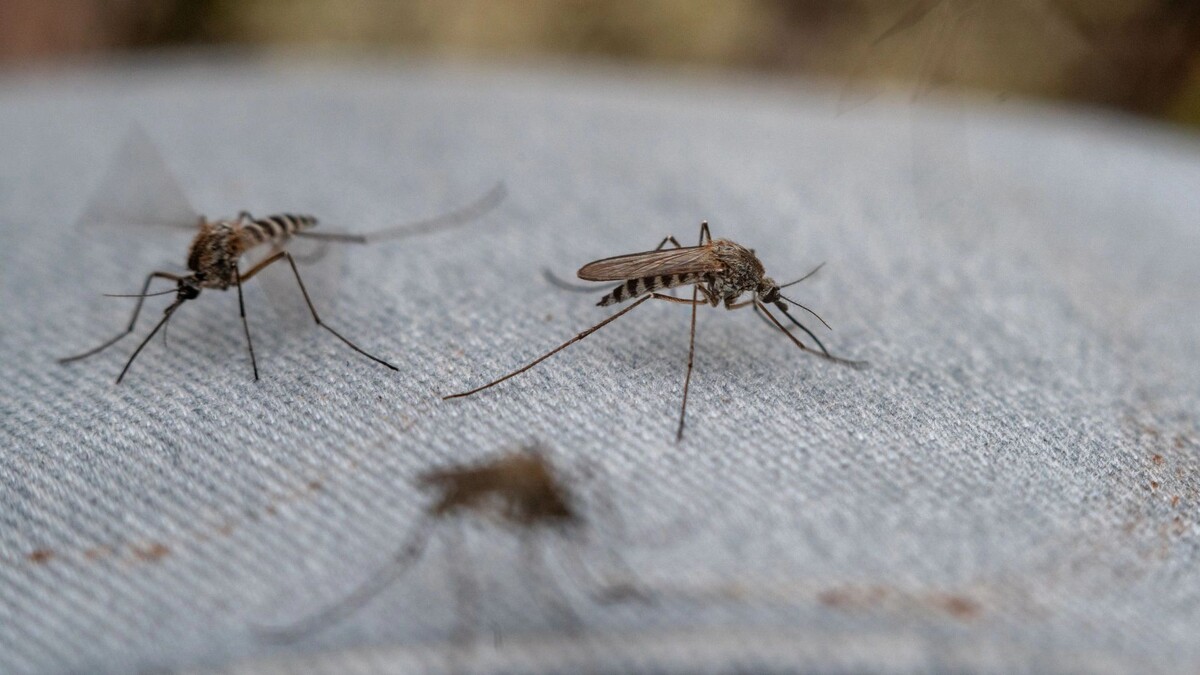    Фото: Сергей Зубков / «Ямал-Медиа»