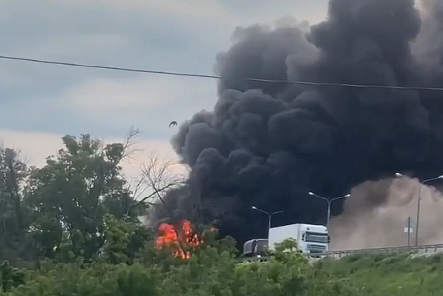     / Источник: © Соцсети. Кадр из видео