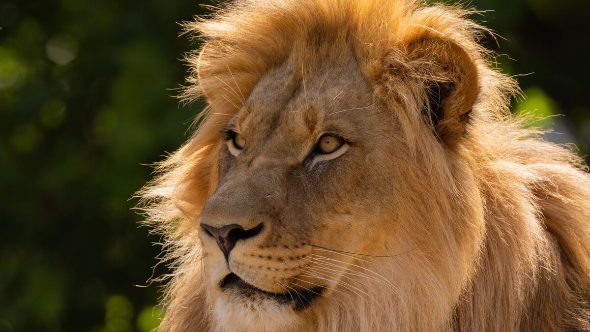    Фото: Elen Marlen/Shutterstock/Fotodom