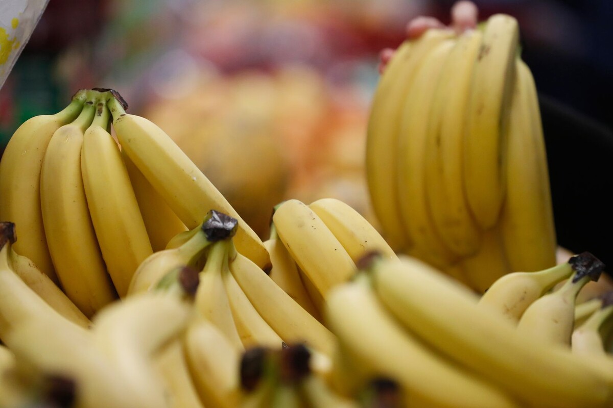     / Источник: © ИЗВЕСТИЯ/Алексей Майшев