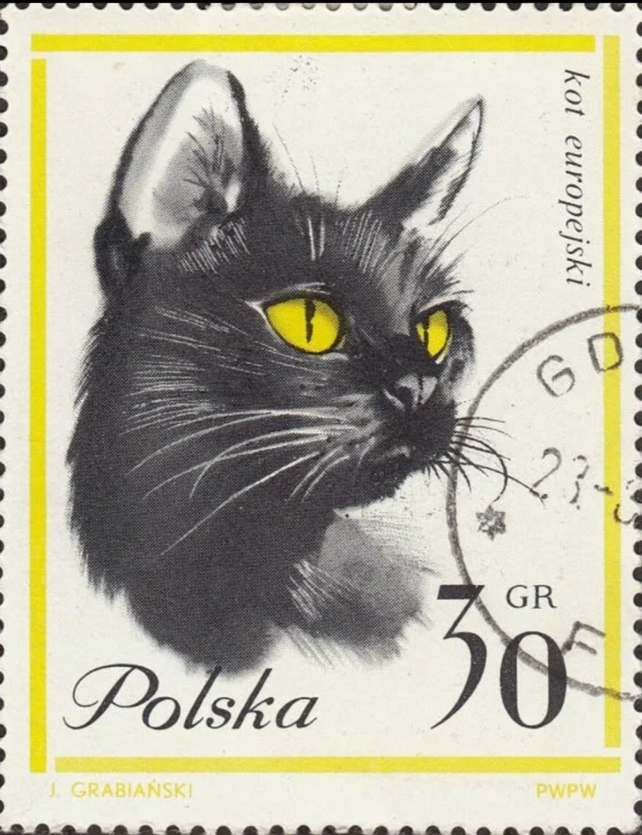 Кот европейский. Почтовая марка.