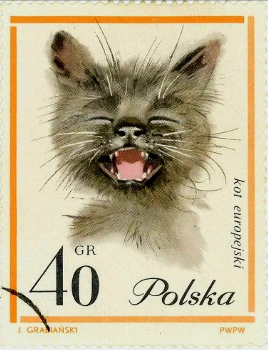 Кот европейский. Почтовая марка.