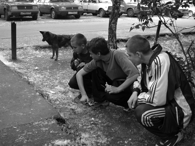    Фото: Aleksandr Schemlyaev/Globallookpress