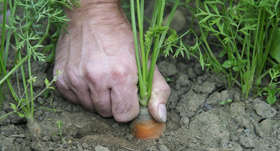    Ottfried Schreiter/imageBROKER.com / www.globallookpress.com