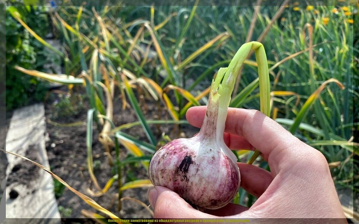 https://vk.com/photo-159774511_457271777