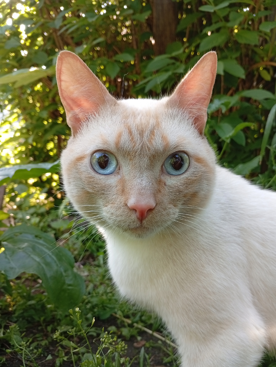 Фото из личного архива