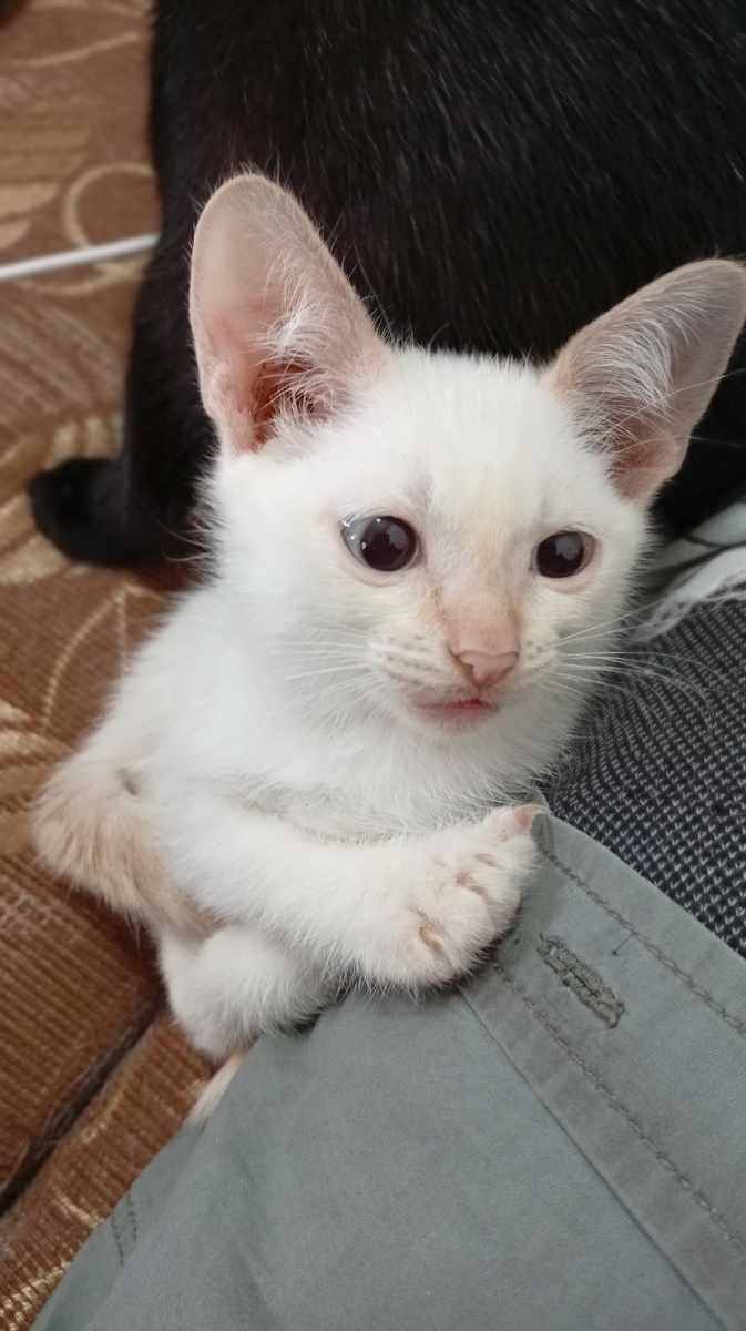 Фото из личного архива