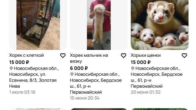     Источник: Скринщот сайта