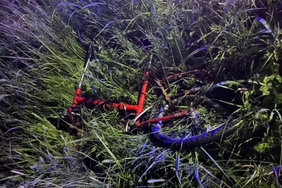    Подросток-велосипедист погиб в жутком ДТП с «ГАЗелью» в Приамурье