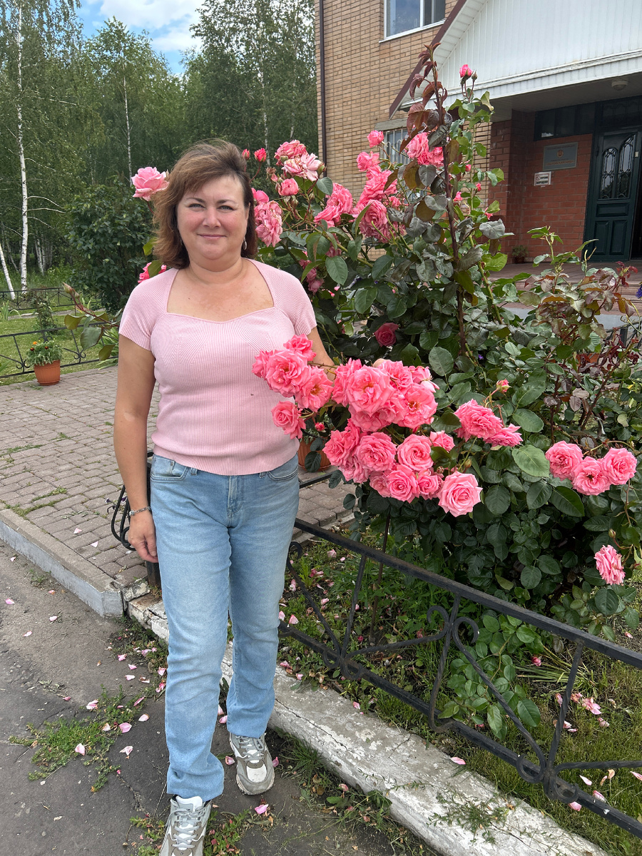 Вот такие розы растут у нас на работе