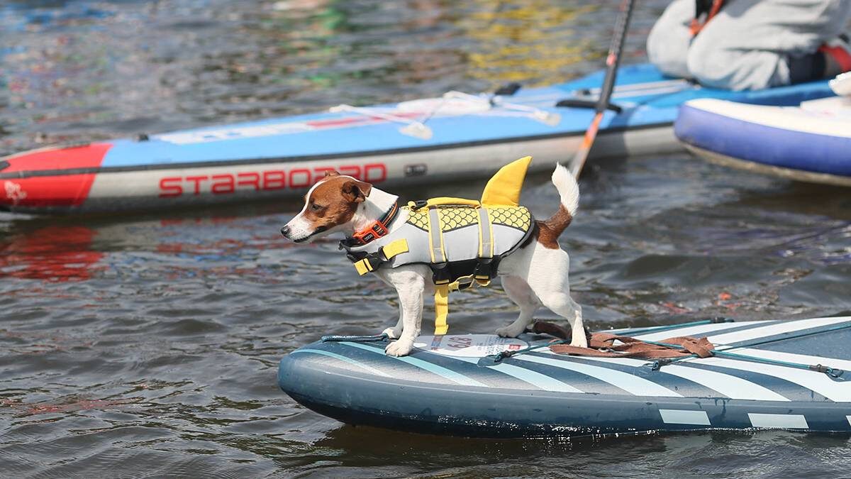    Фото: Василий Кузьмиченок / АГН Москва