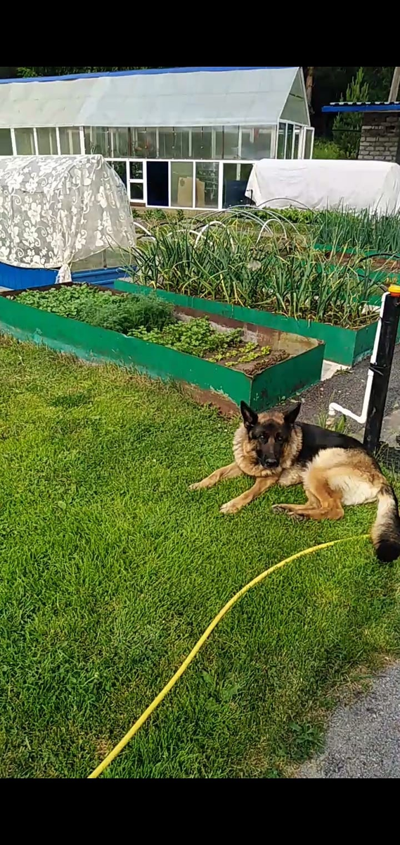 Все фото авторские