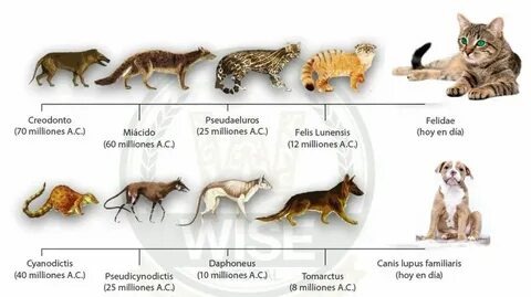 источник фото- интернет