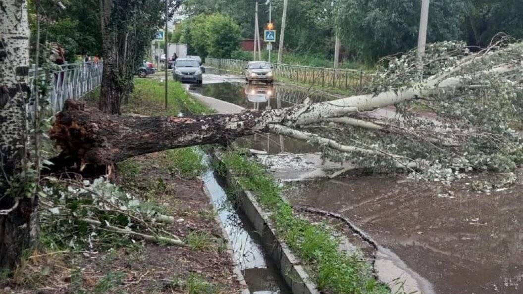    Telegram-канал Сергея Шелеста