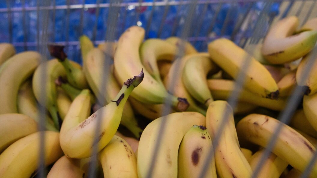    Ilya Moskovets/URA.RU/Globallookpress