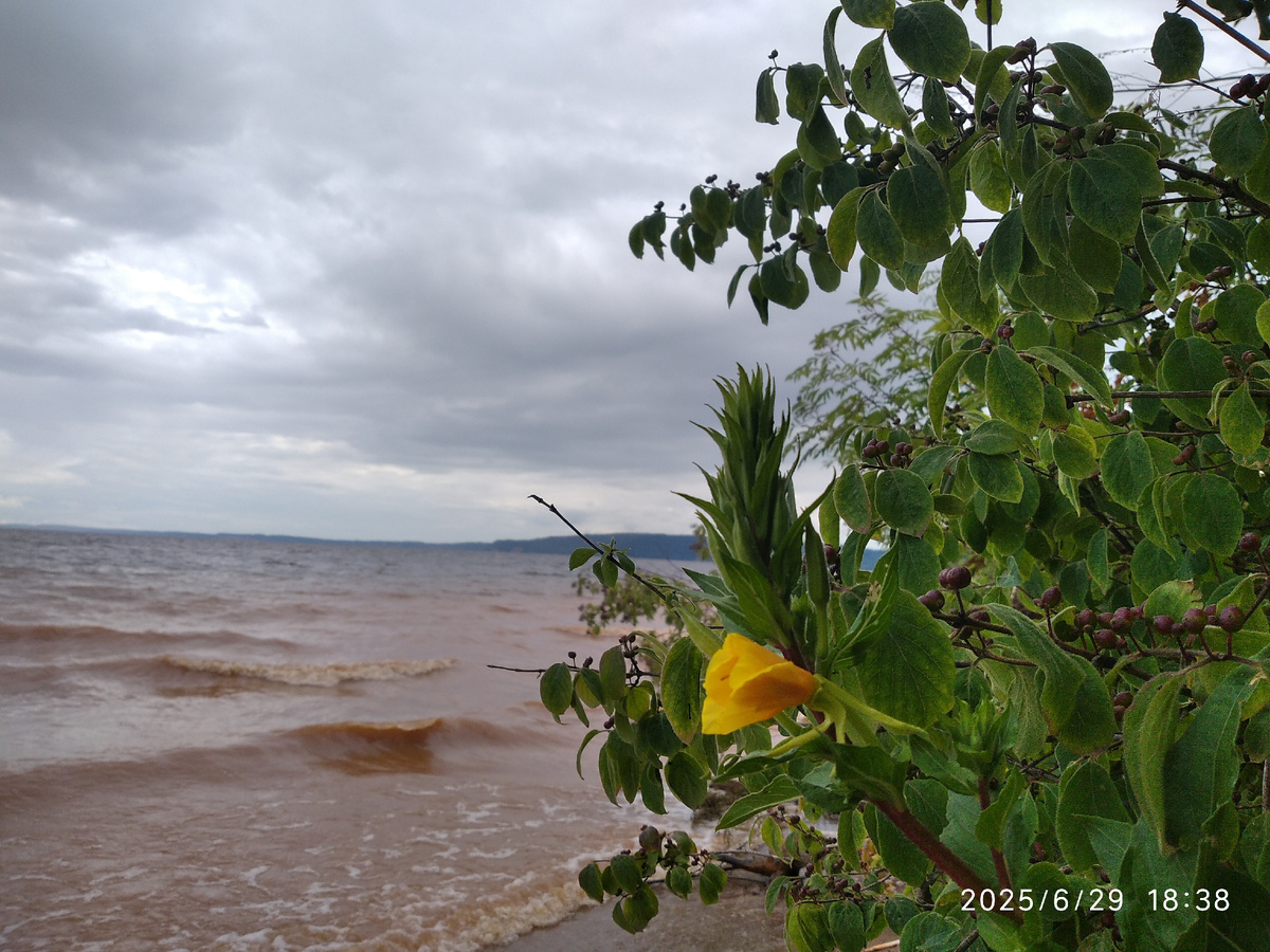 хочется вспомнить Пушкина: "Помутнело синее море"