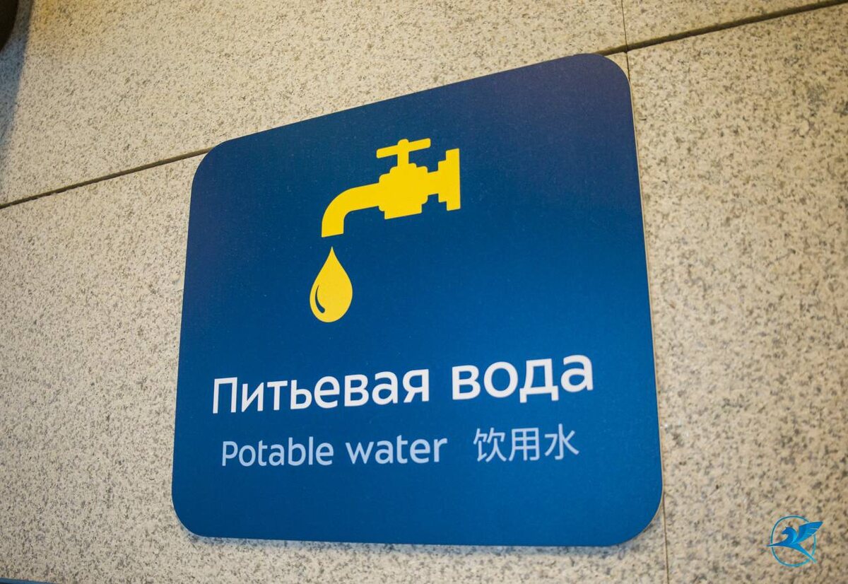 © Фото: t.me/vnukovoairport_vko