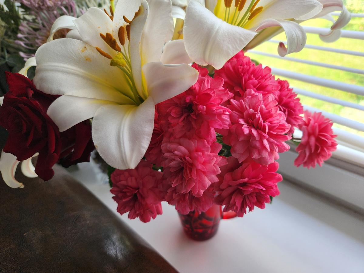 Да, это совсем не хризантема, а вовсе даже роза!..