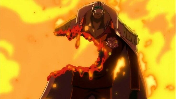 Акаину — Адмирал Флота Морского Дозора, сменивший предыдущего владельца этого звания, Сэнгоку. В прошлом он был одним из трёх Адмиралов Морского Дозора. Он получил место Адмирала Флота, победив Аокидзи в десятидневной дуэли, которая превратила Панк Хазард в то, чем он является сейчас. 