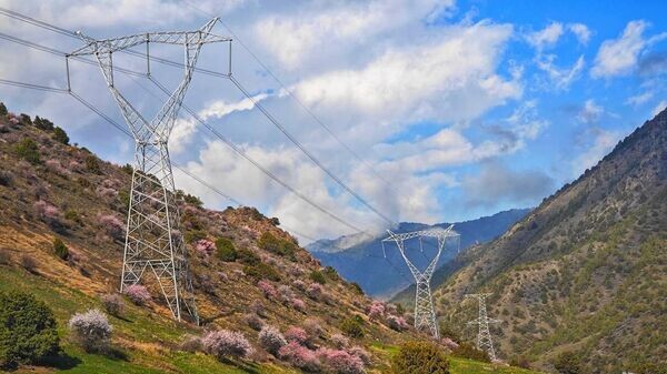    © Foto / Пресс-служба Рустама Эмомали