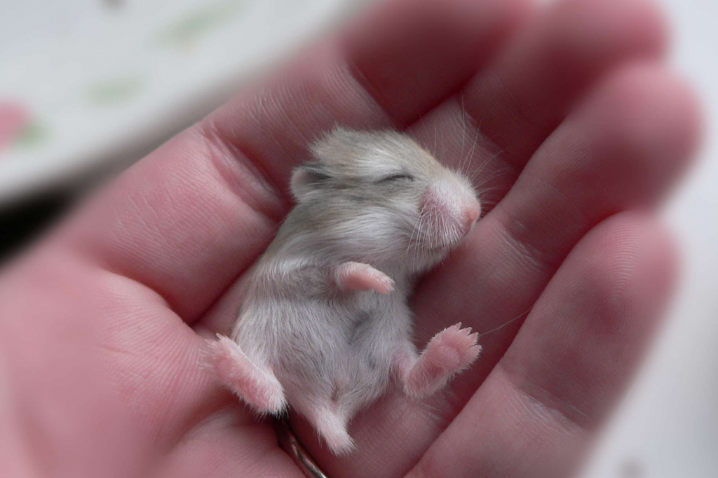 Этот момент доверия — начало большой дружбы.