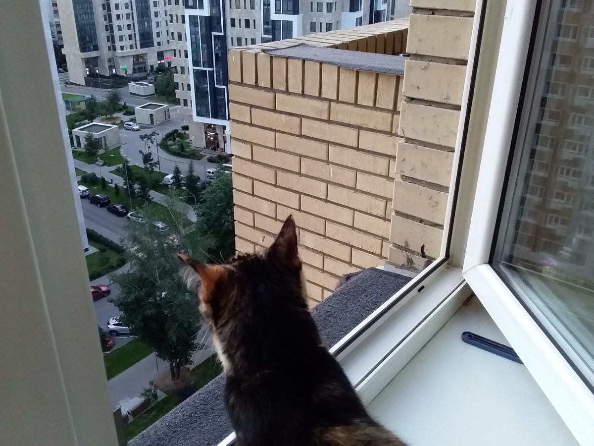 Гы!
