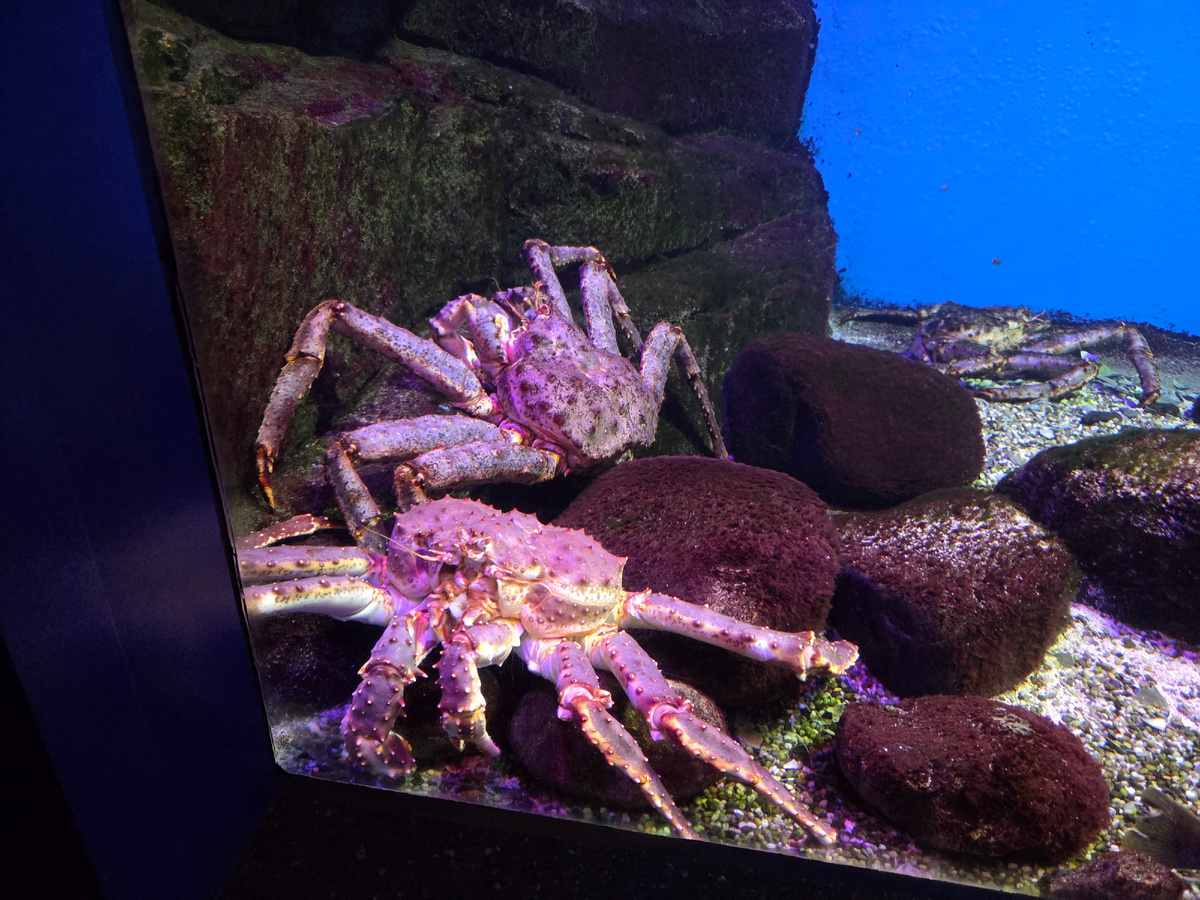 Кстати, это он