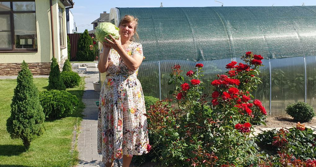 От этой подкормки огурцы пучками, томаты гроздьями, капуста большими кочанами!
