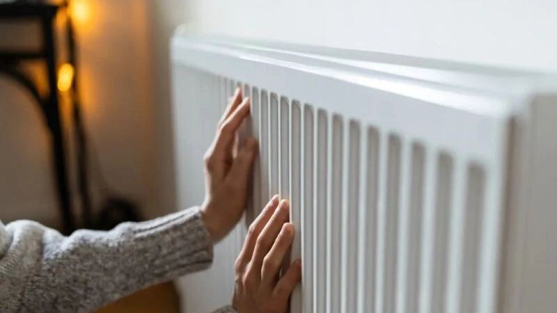    Фото: DimaBerlin/Shutterstock/Fotodom