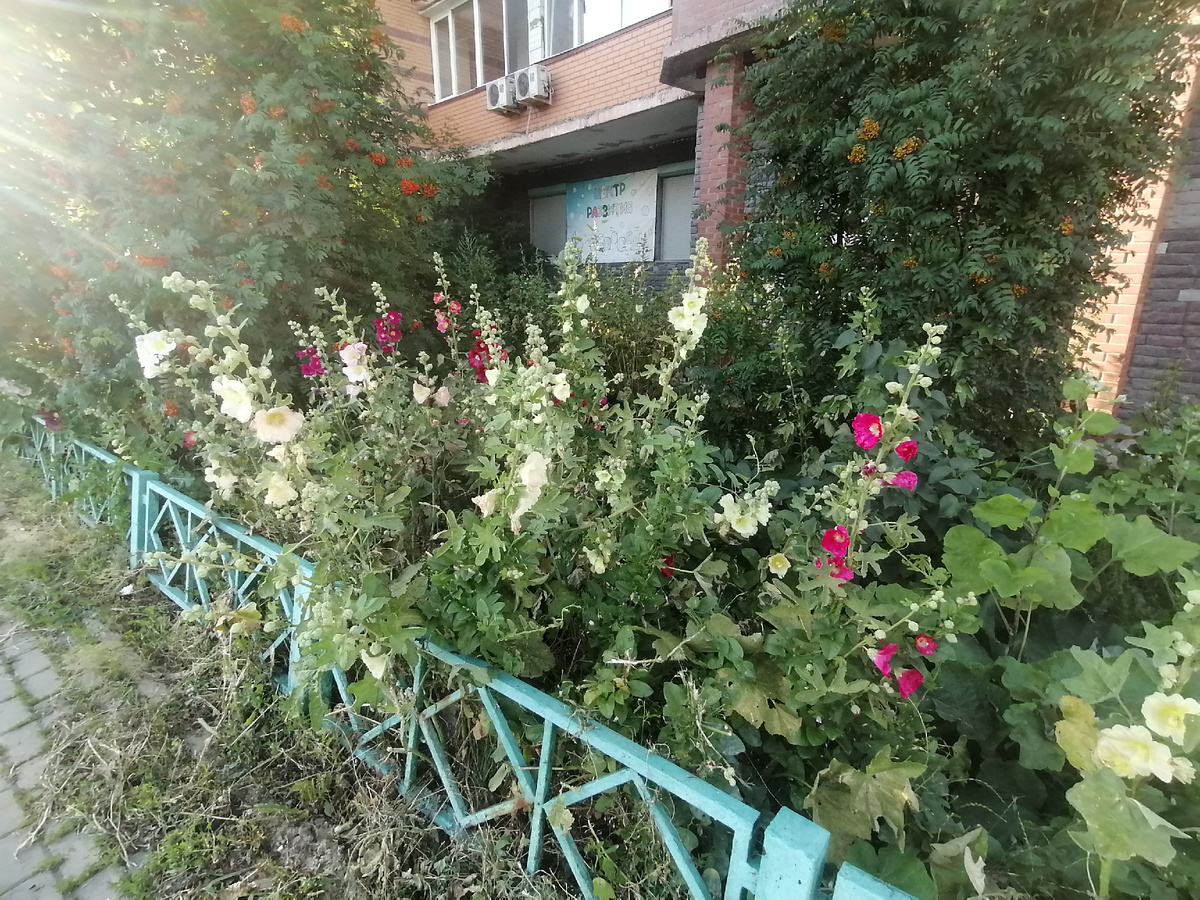 Для обложки