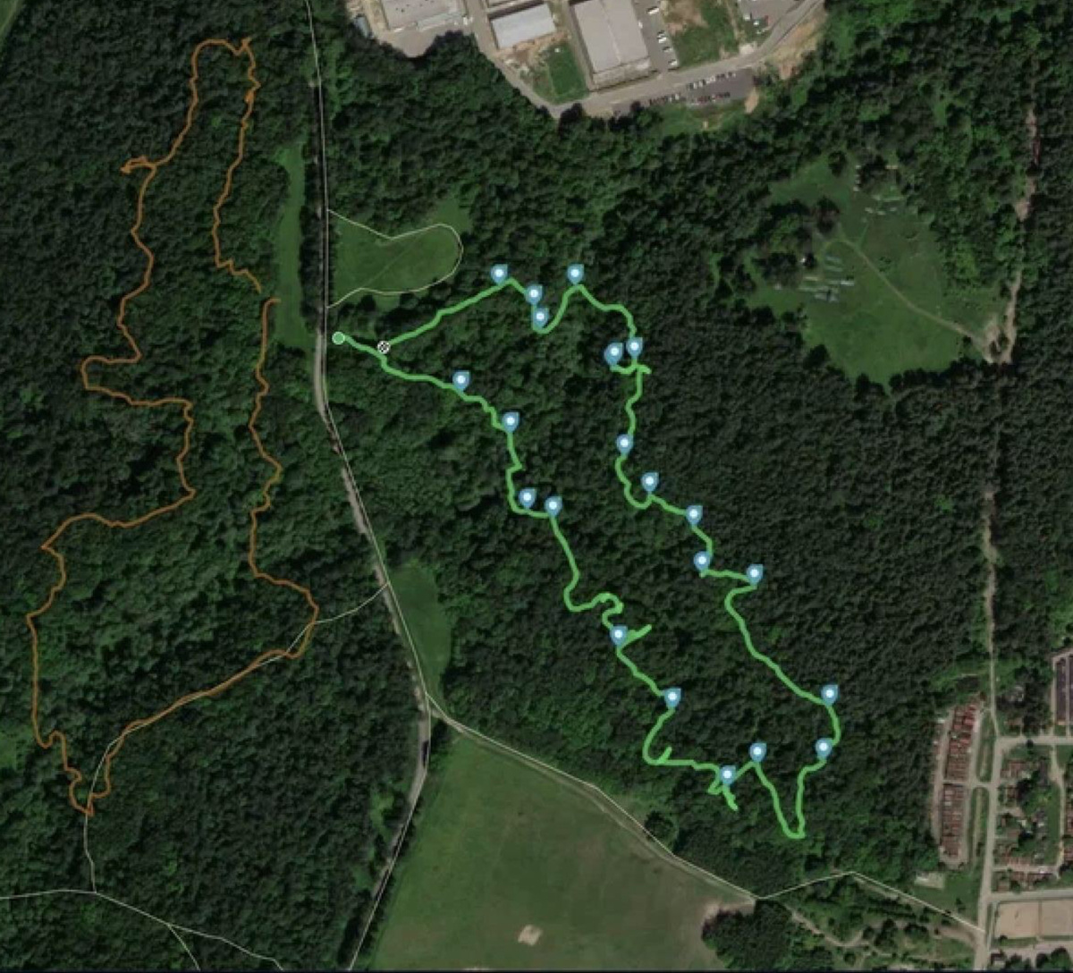 Тропа проходит по неосвоенной части леса заповедника