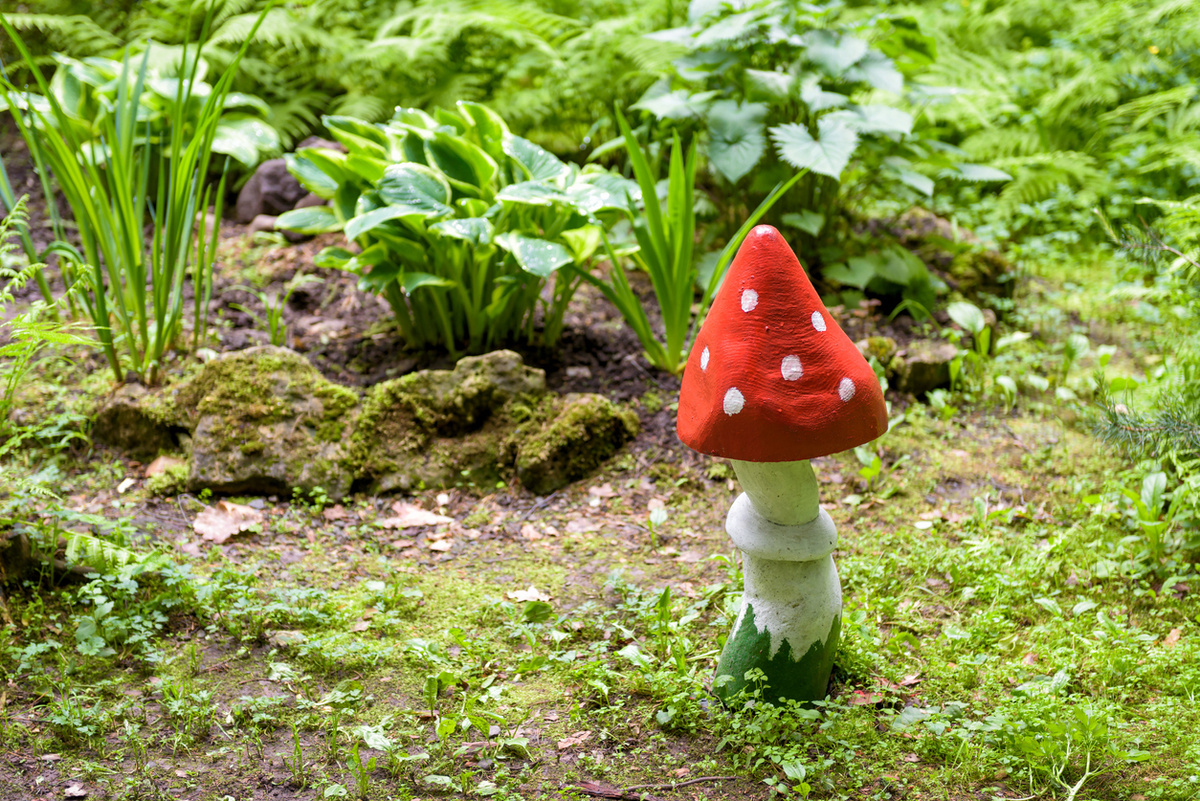    Самый популярный «дачный» гриб — мухомор