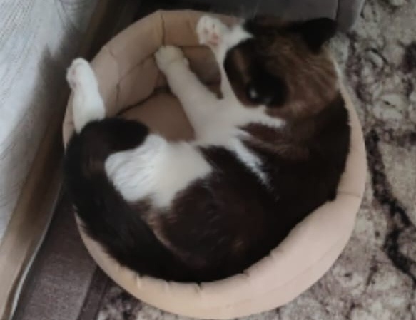 Фото автора.