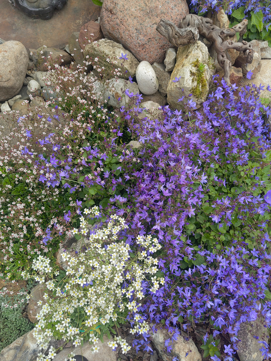 Пожарского.