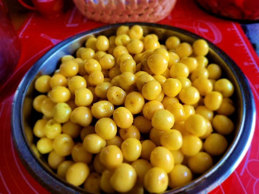 Белая черешня из нашего сада