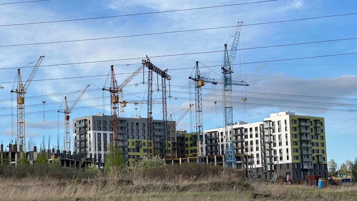     Источник: prmira.ru