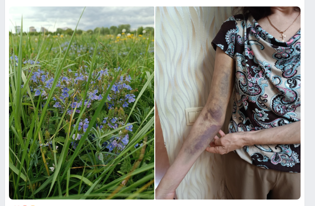 Фото: страница Валентины Николаевны в ВК.