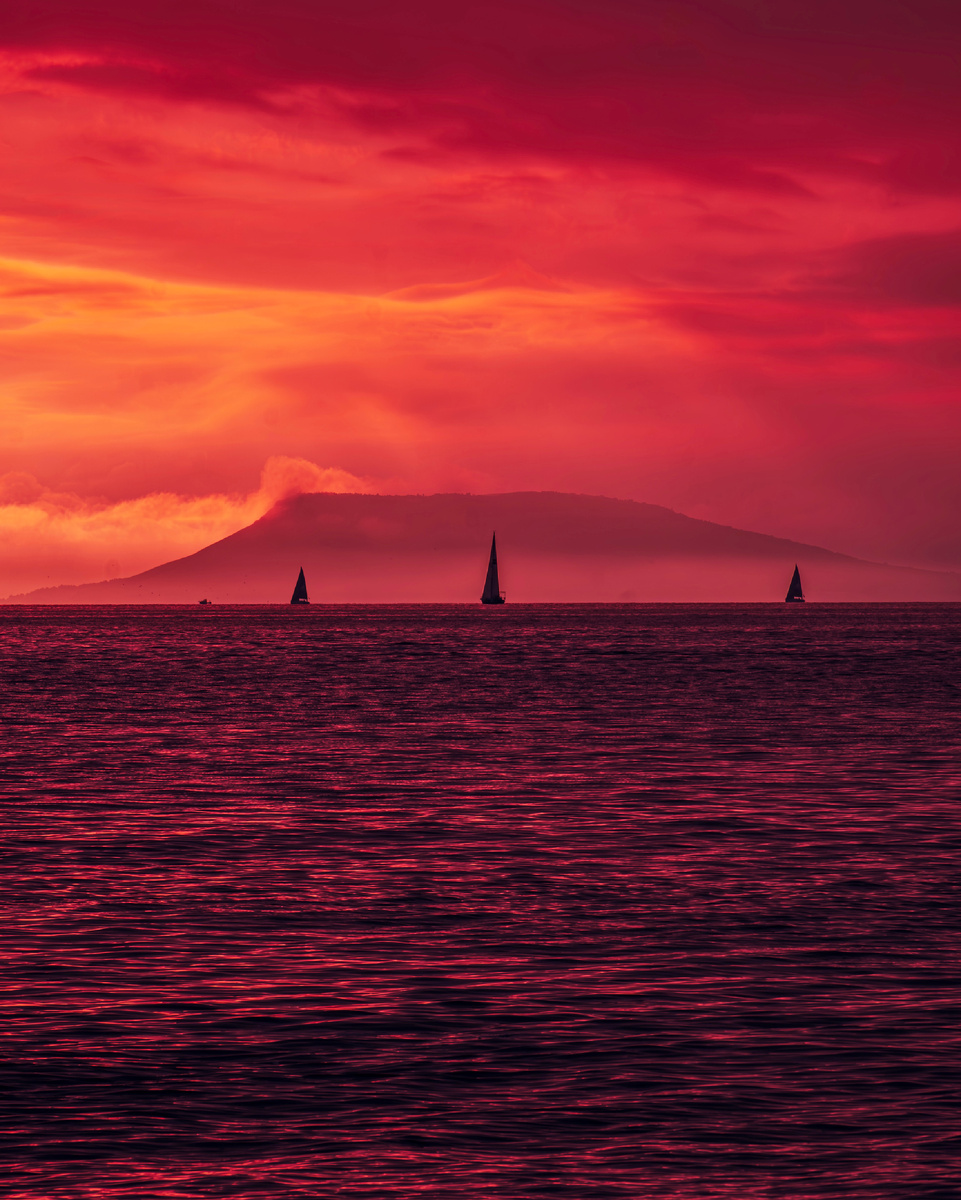 Автор: Алексей Моисеев / @partyzzzan