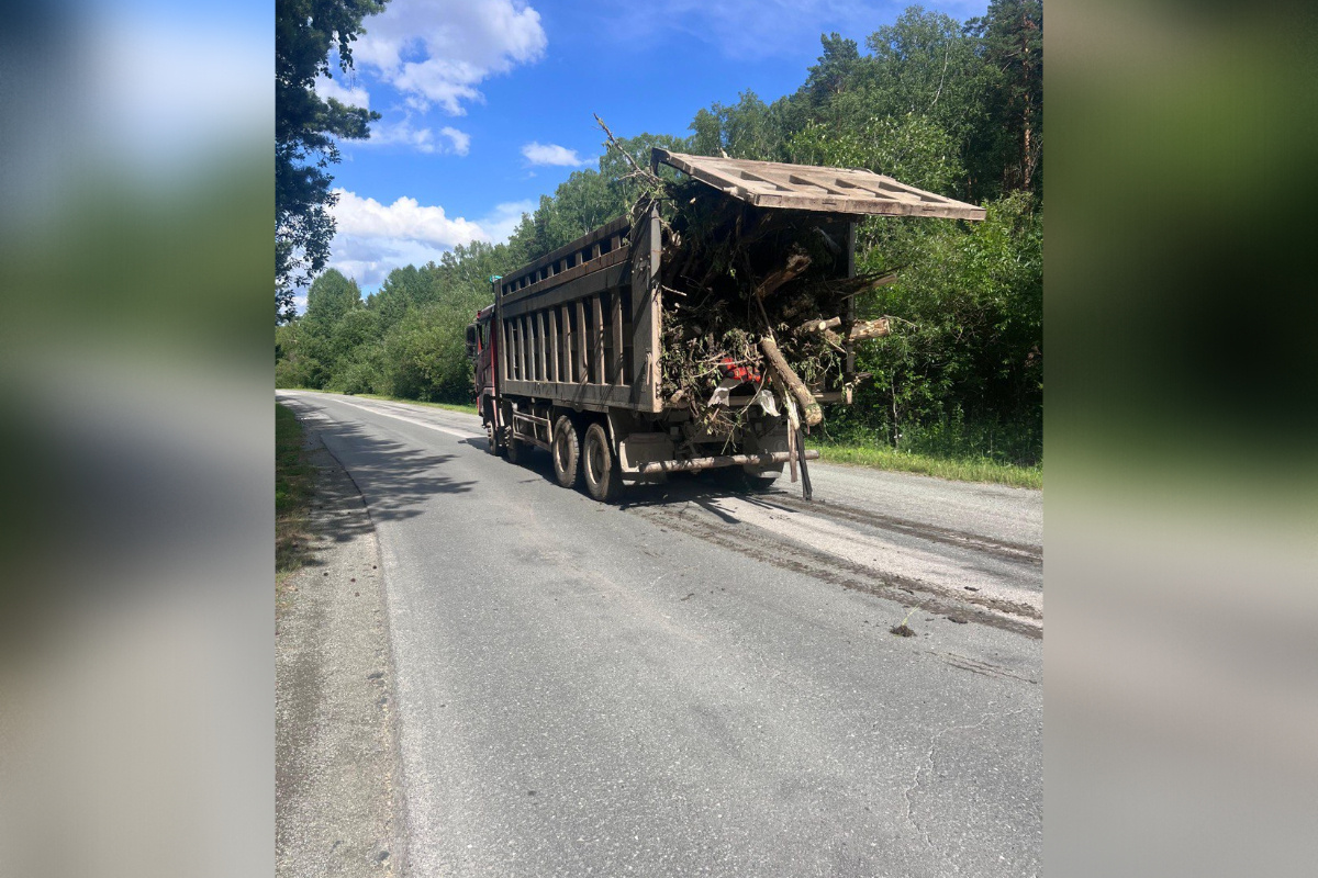     Фото: Елена Кобозева