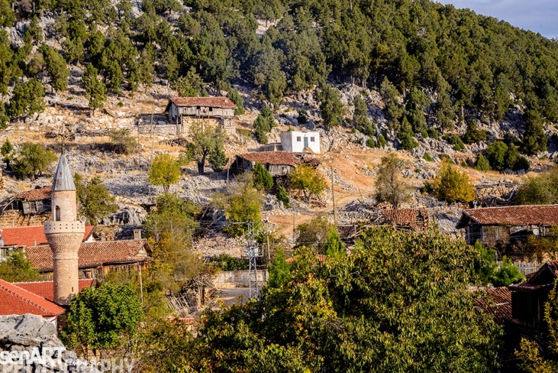 Фото из Интернета. 