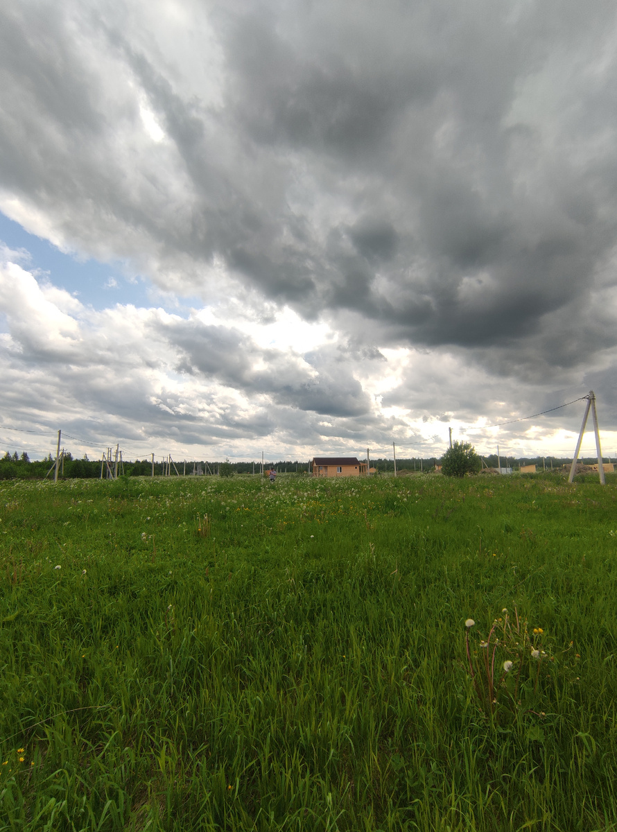 Дружная поляна