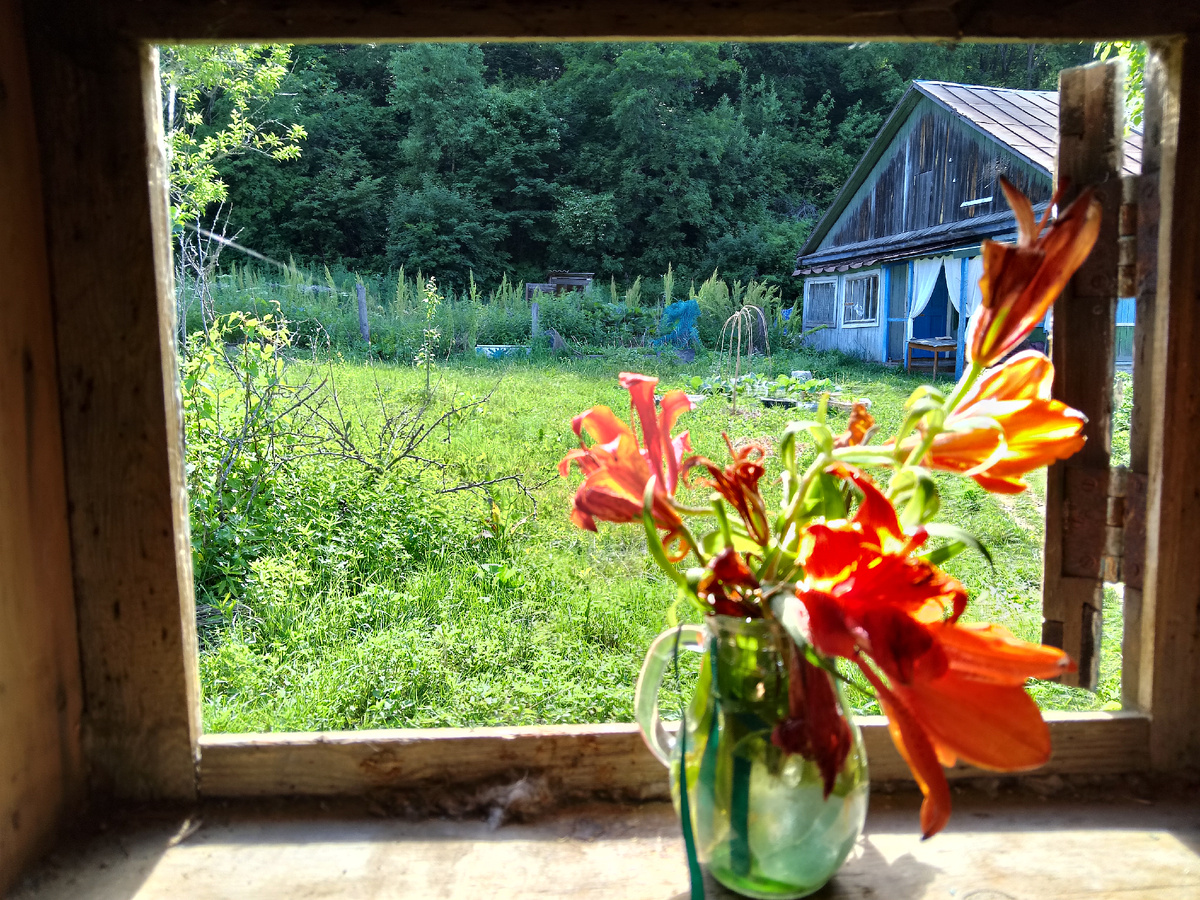 Вид из бани